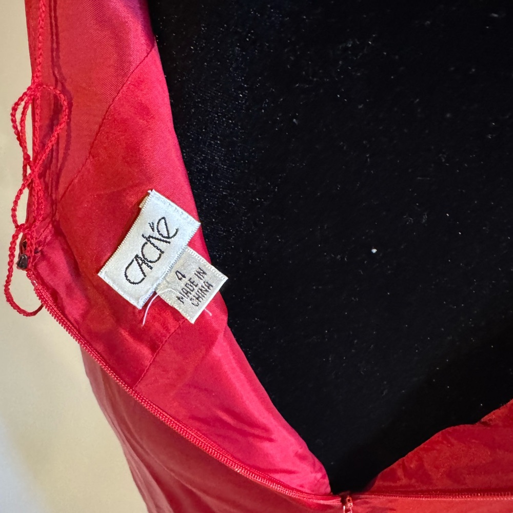 Caché Evening Gown Size 4 - Picture 6 of 6
